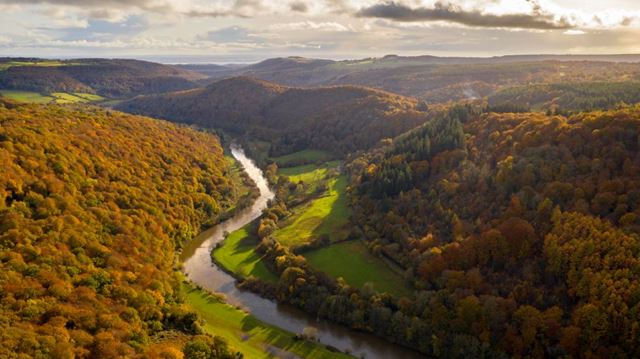 Symonds Yat river views in autumn